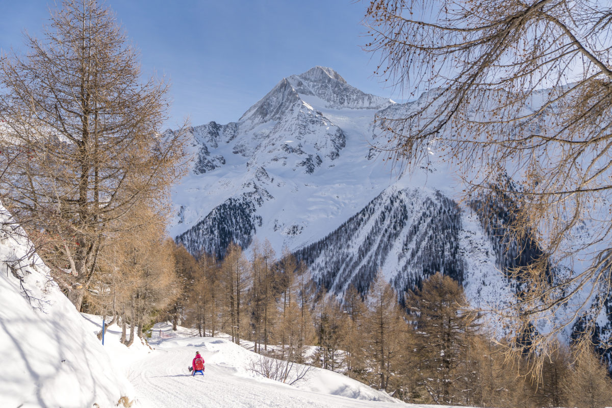 Lauchernalp Schlittenabfahrt