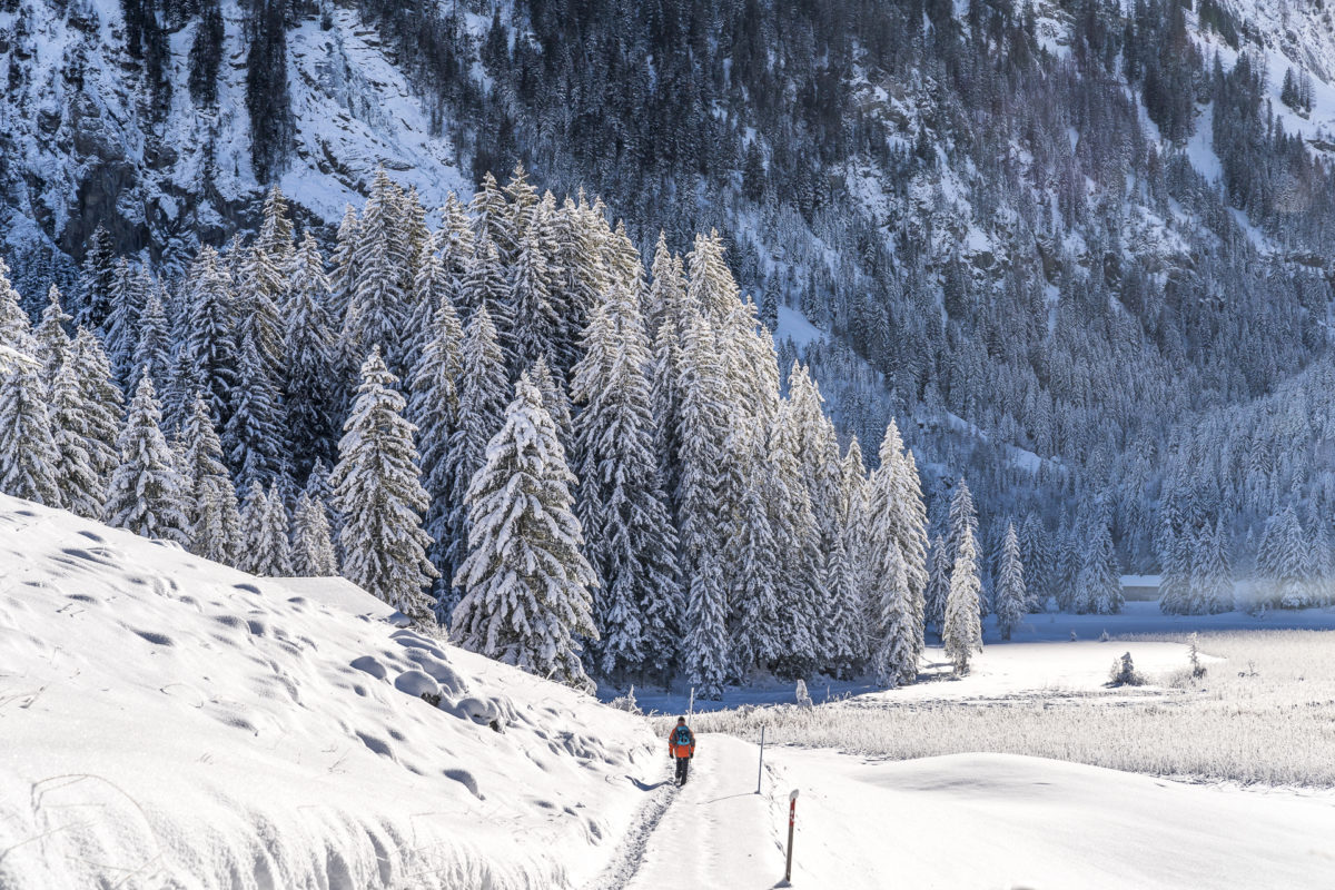 Lauenensee WInterwanderung