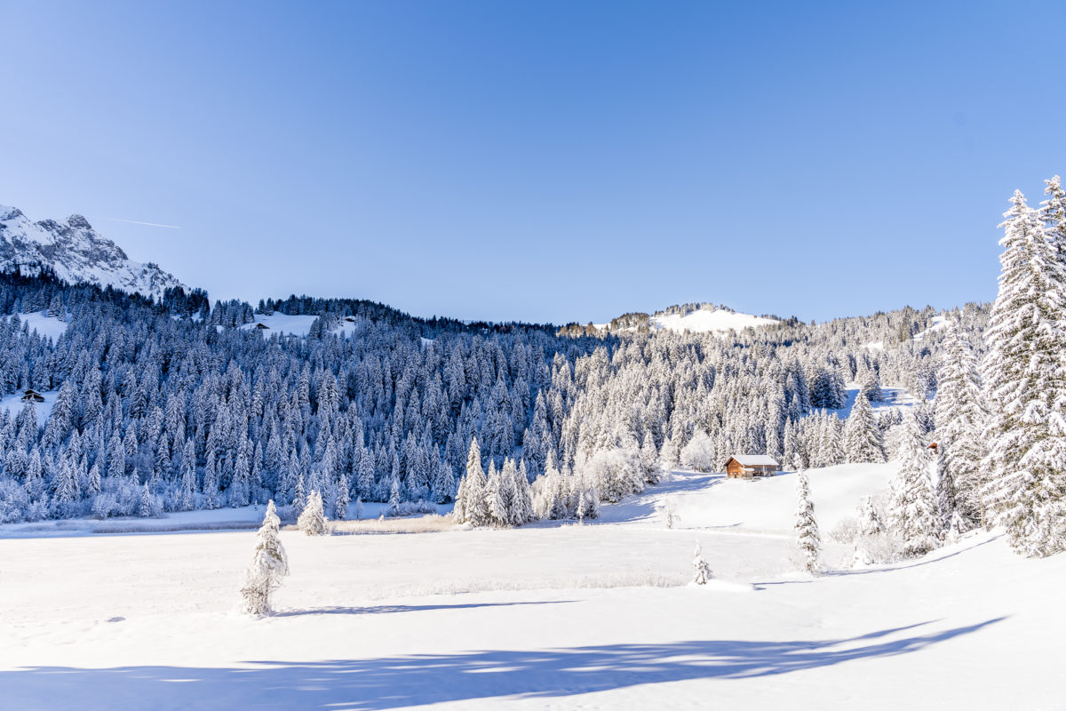 Lauenensee im Winter