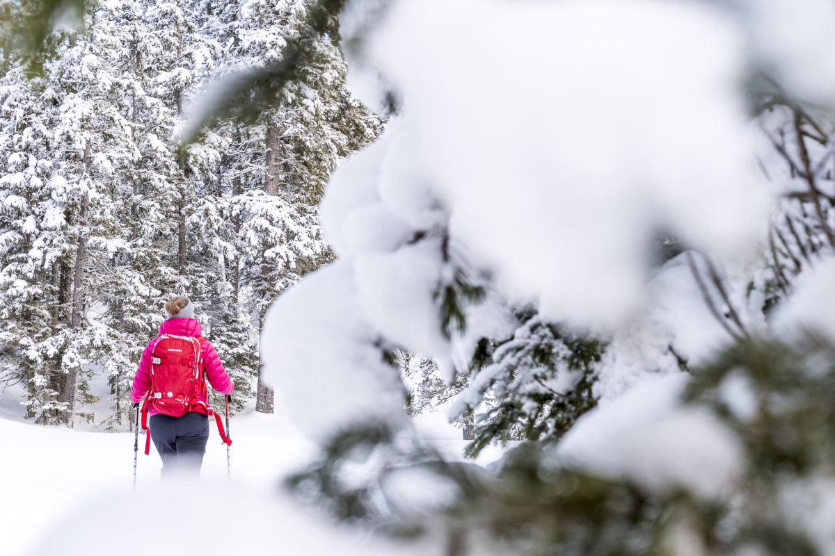 Schneeschuhlaufen Zentralschweiz