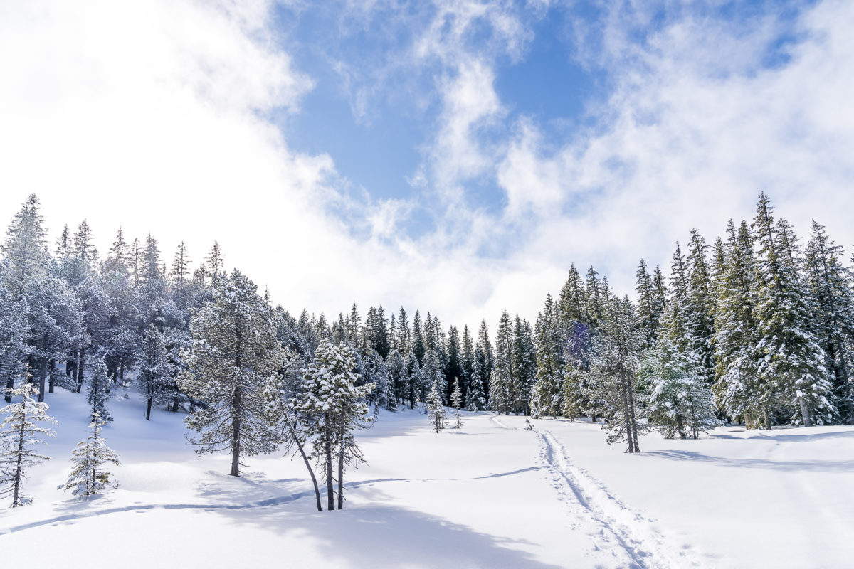 Winterlandschaft Glaubenberg