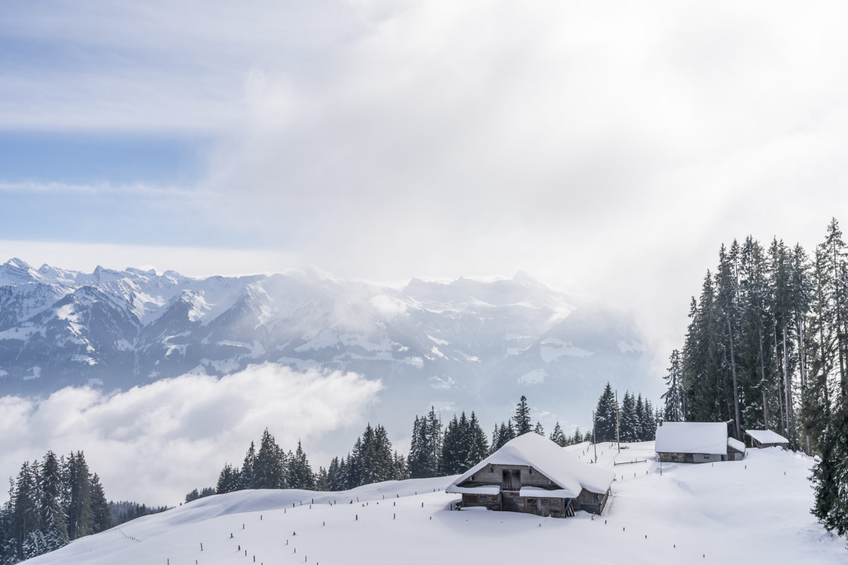 Winterlandschaft Langiswald