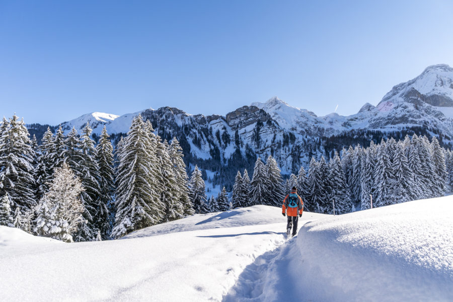 Winterwandern Gstaad Lauenensee