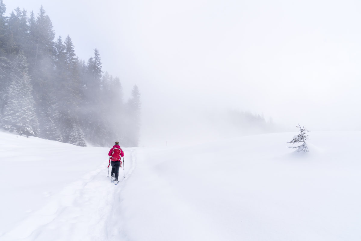 Winterwandern Nebel