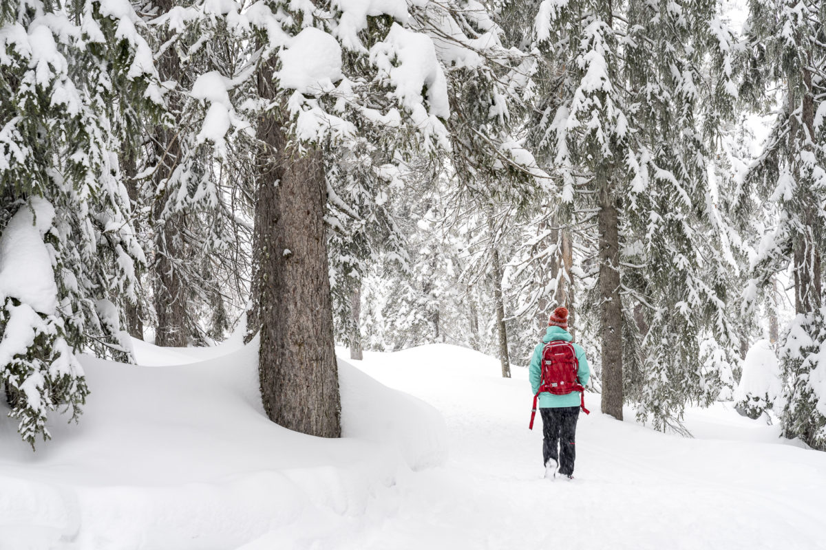 Winterwandern Sörenberg Rossweid