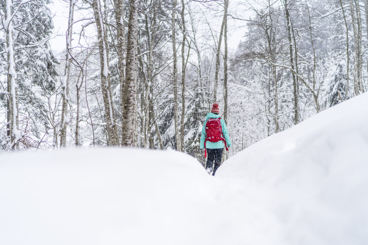 Winterwanderweg Rischli Sörenberg