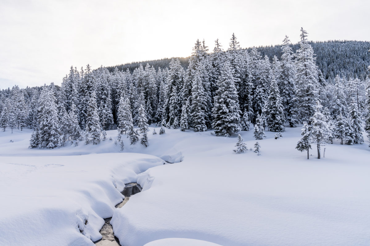 Glaubenberg Winterlandschaft