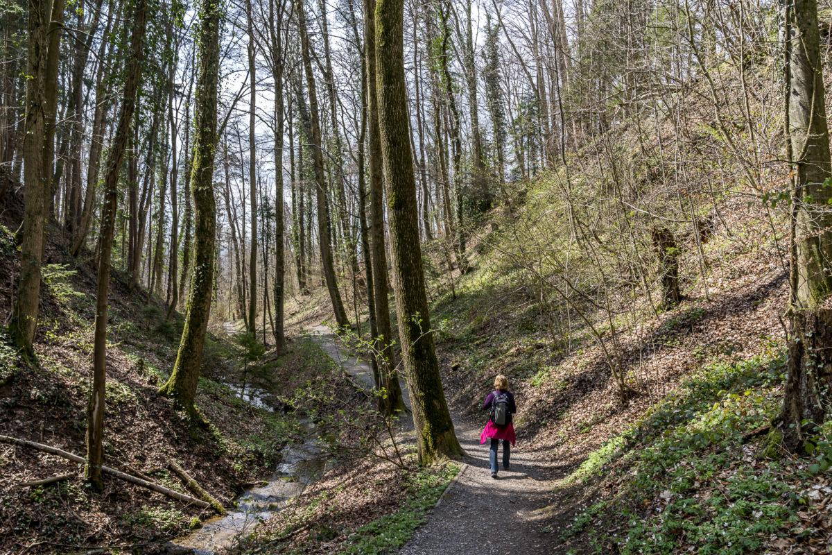 Erlenbacher Tobel Rundwanderung