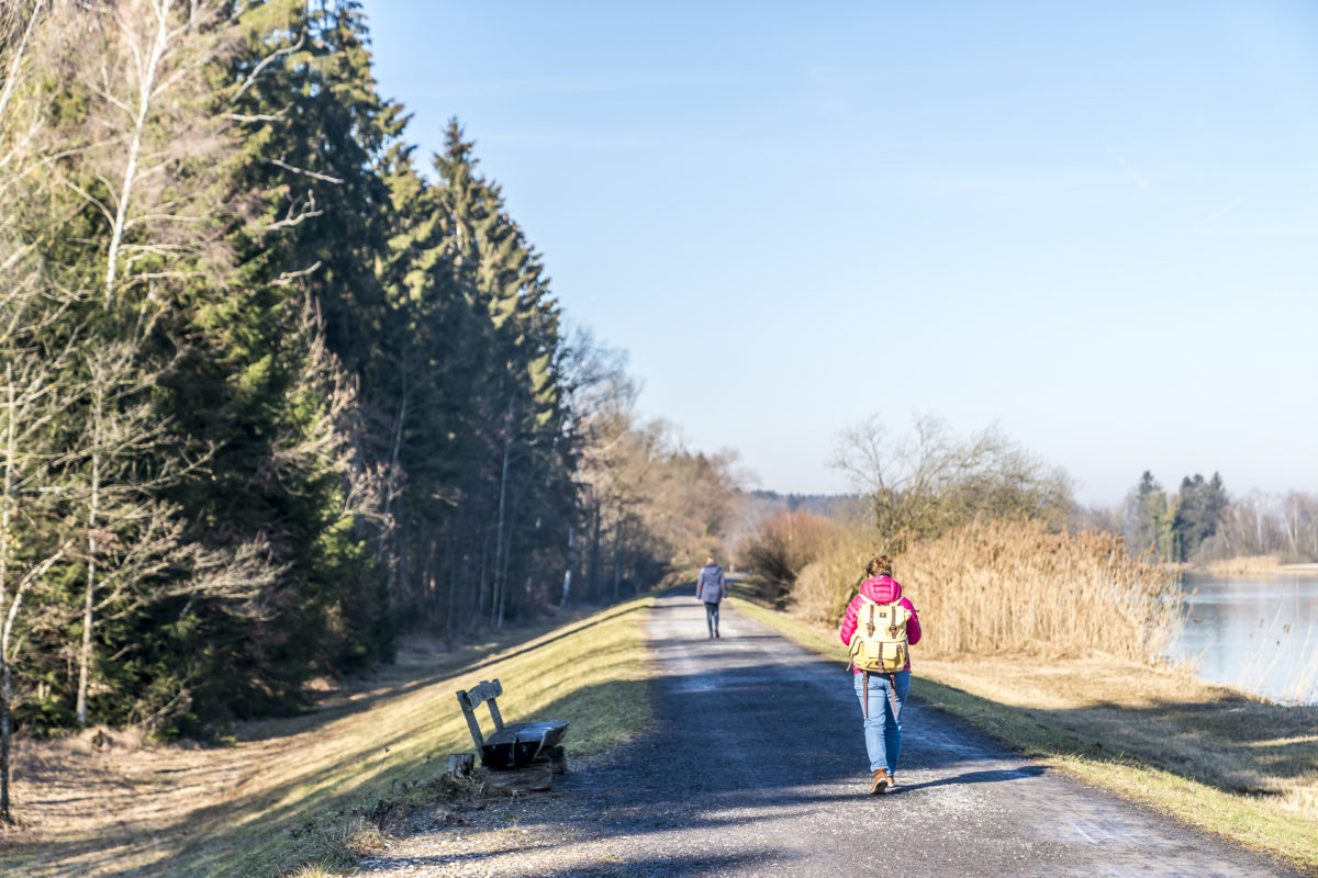 Flachsee Rundwanderung Aargau