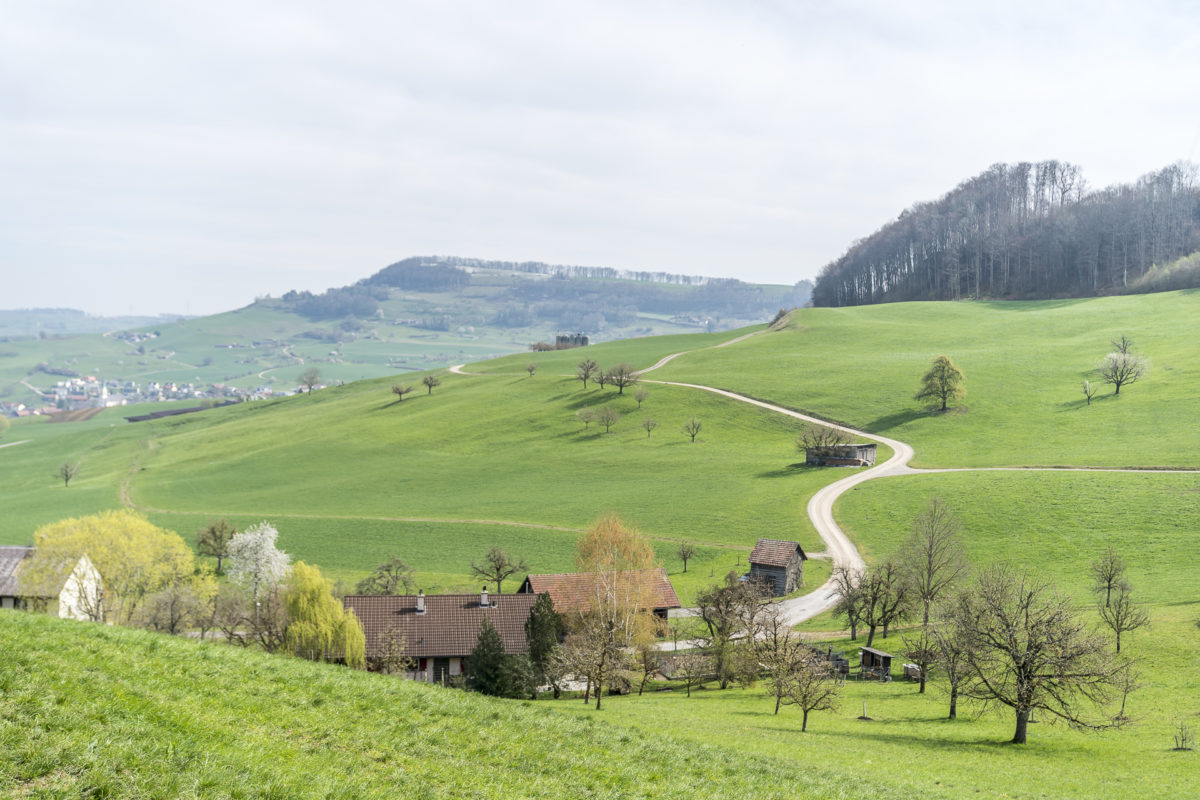 Gansingen Aargau