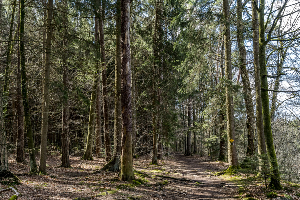 Gnadenthal im Aargau