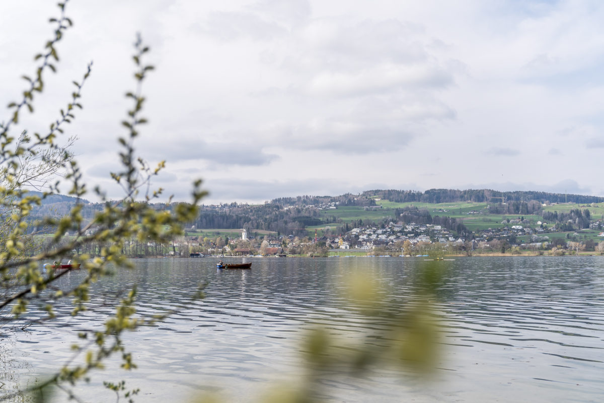 Greifensee Boote