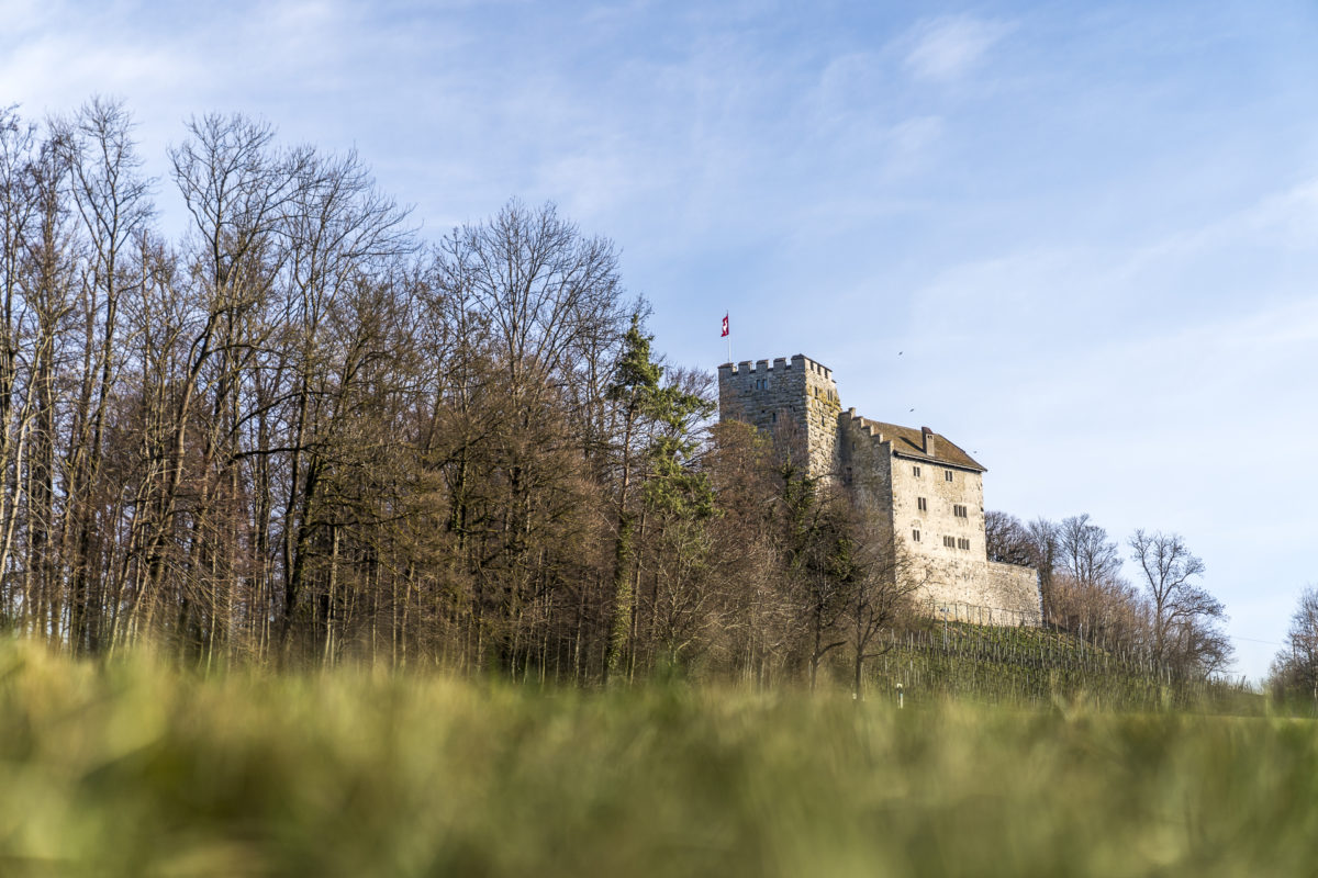 Habsburg Ausflugsziel im Aargau