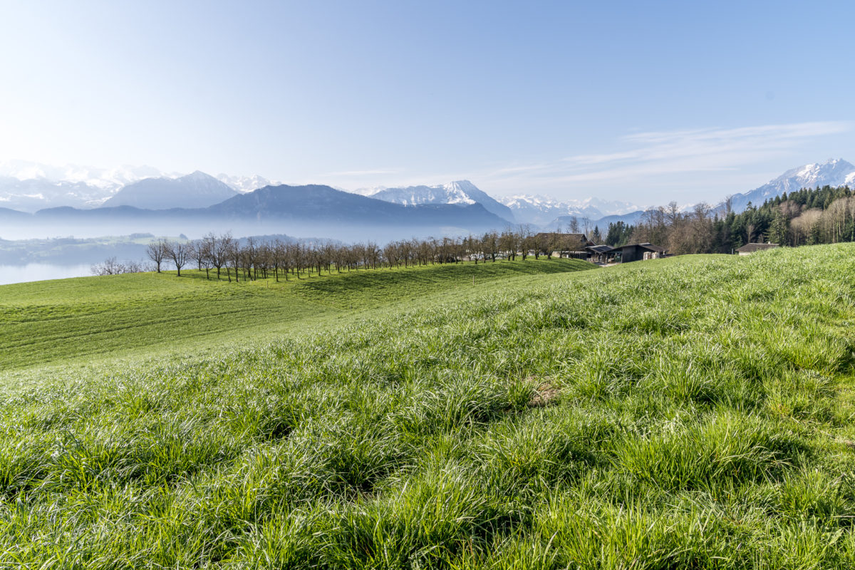 Meggen Luzerner Hinterland