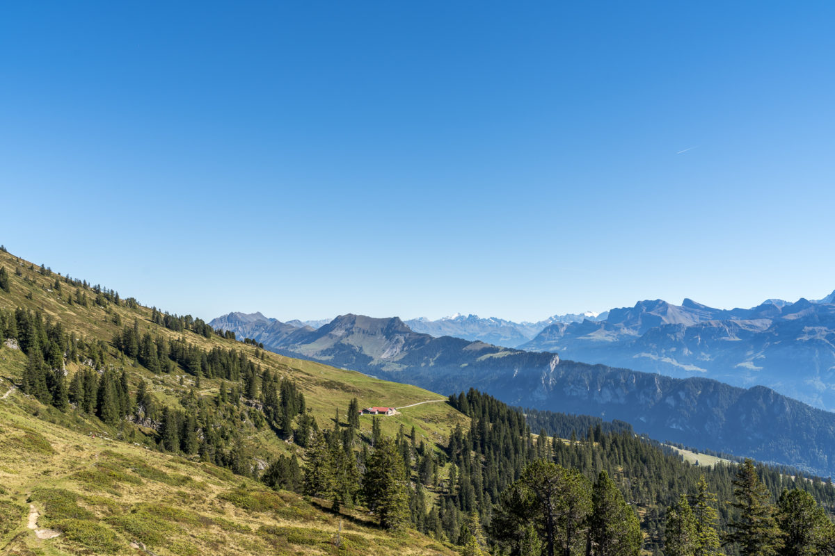 Niederhorn Berner Oberland