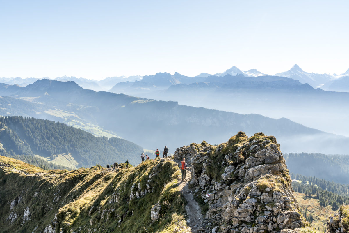 Niederhorn Rundwanderung