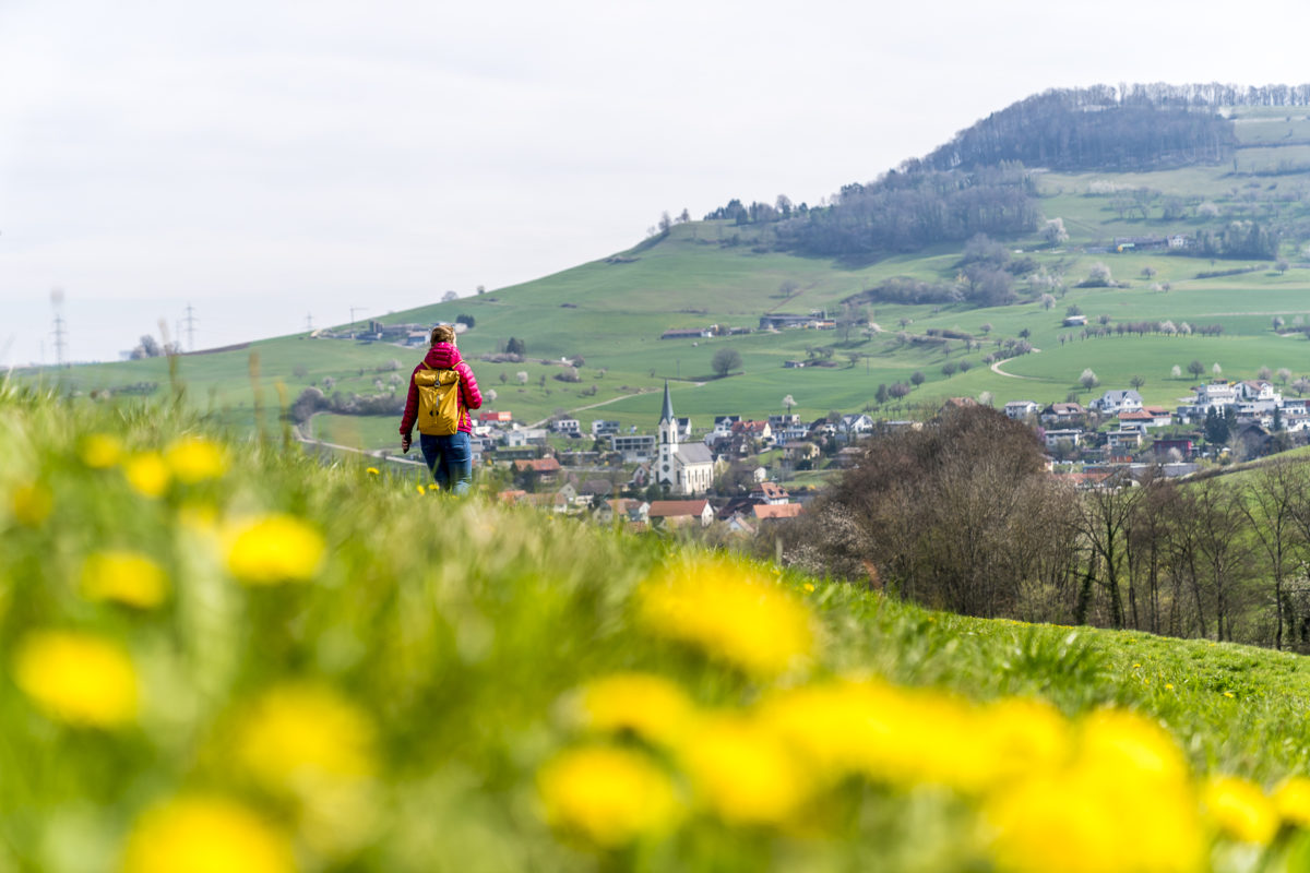 Rundwanderung Cheisacherturm