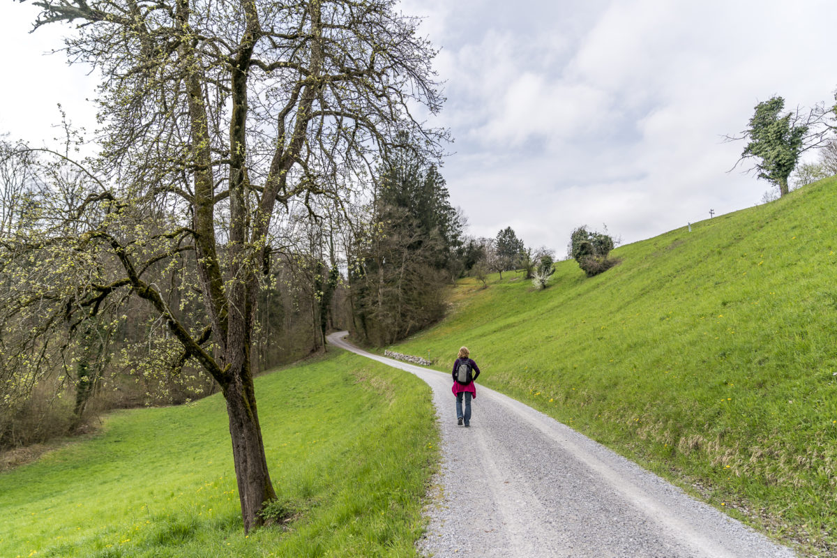 Wanderung Maur Erlenbach