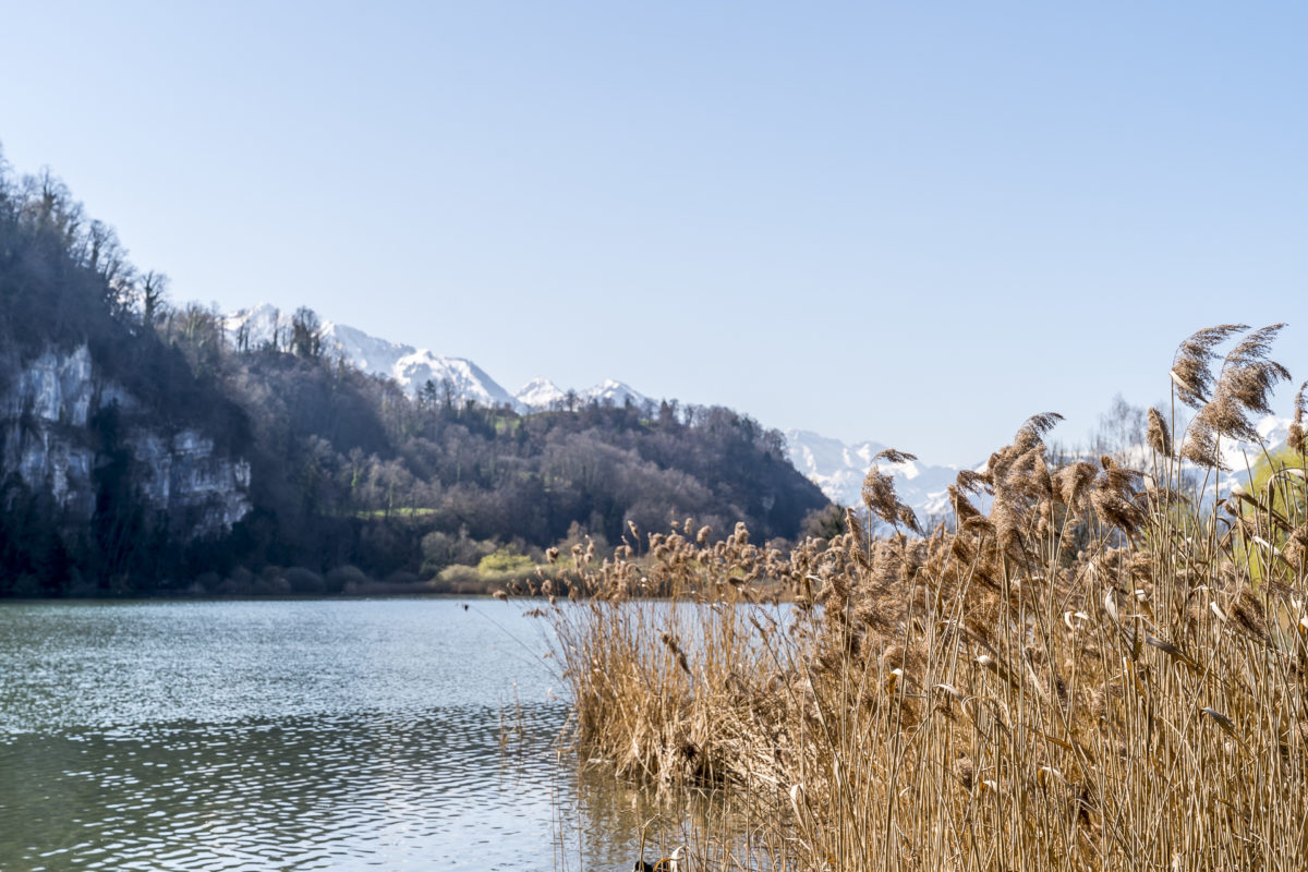 Wichelsee Zentralschweiz