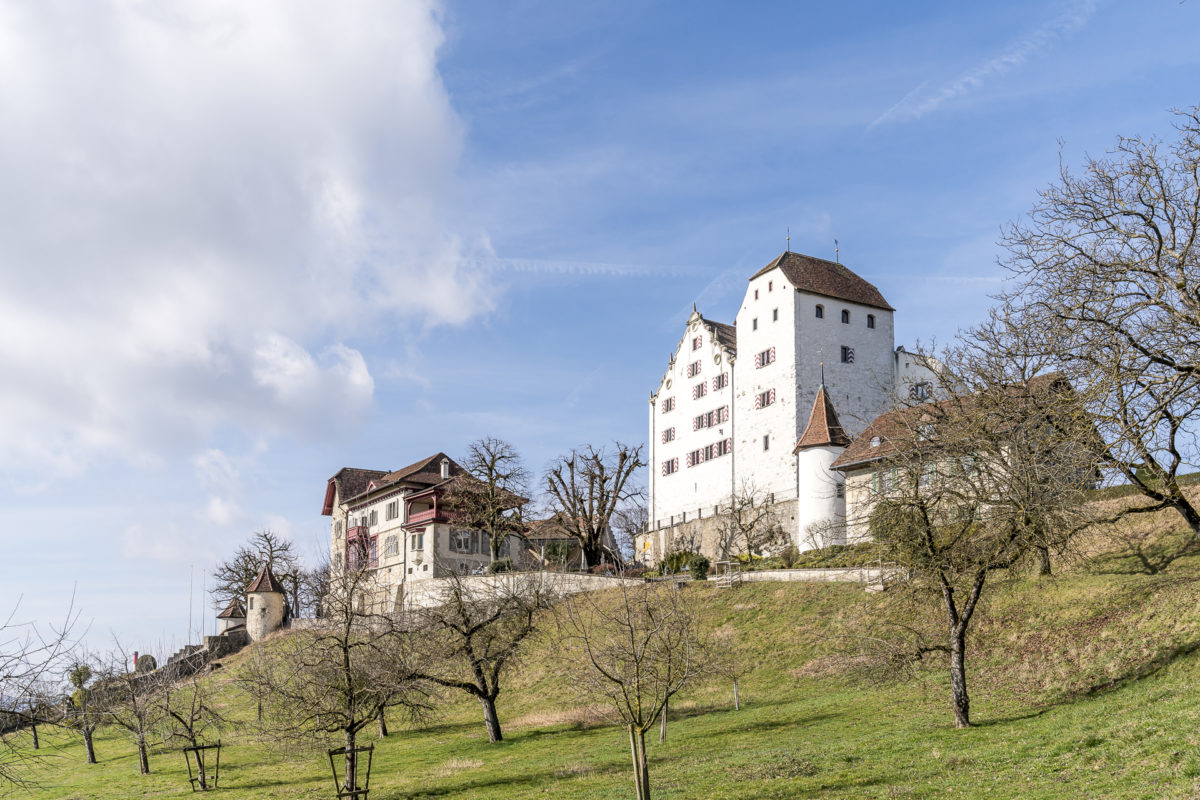 Wildegg Kanton Aargau