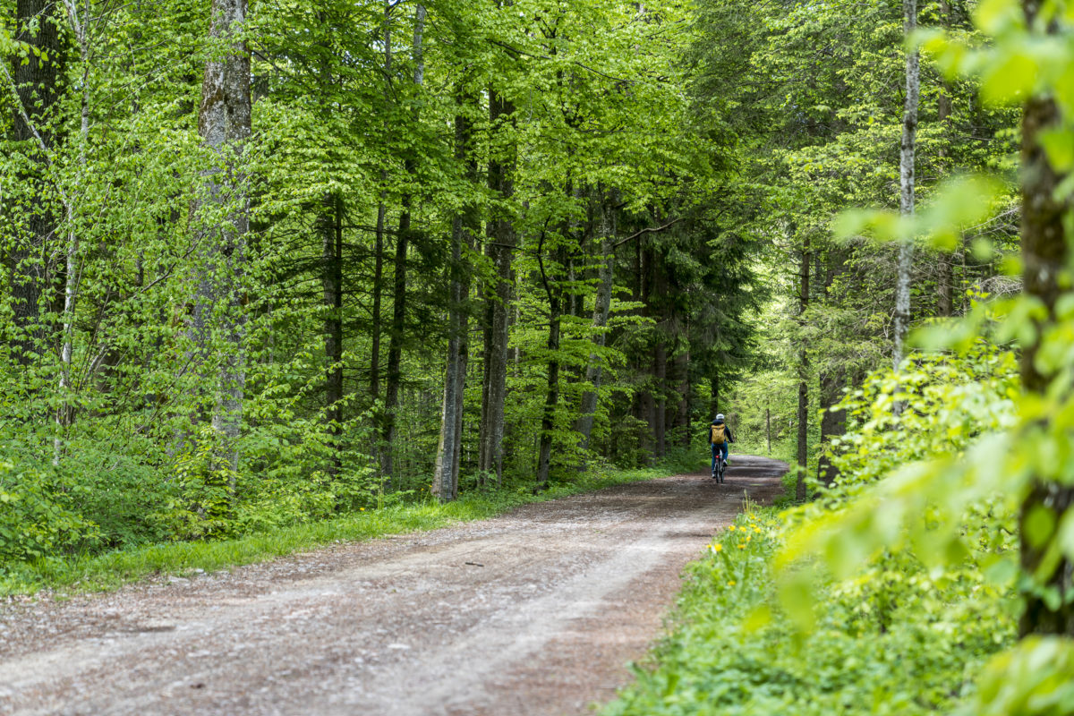 Emmentaler Käseroute Veloweg entlang Emme