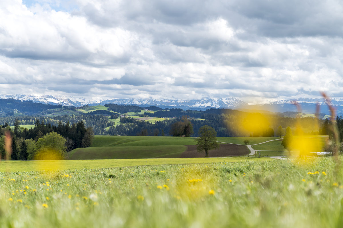 Emmental Aussicht