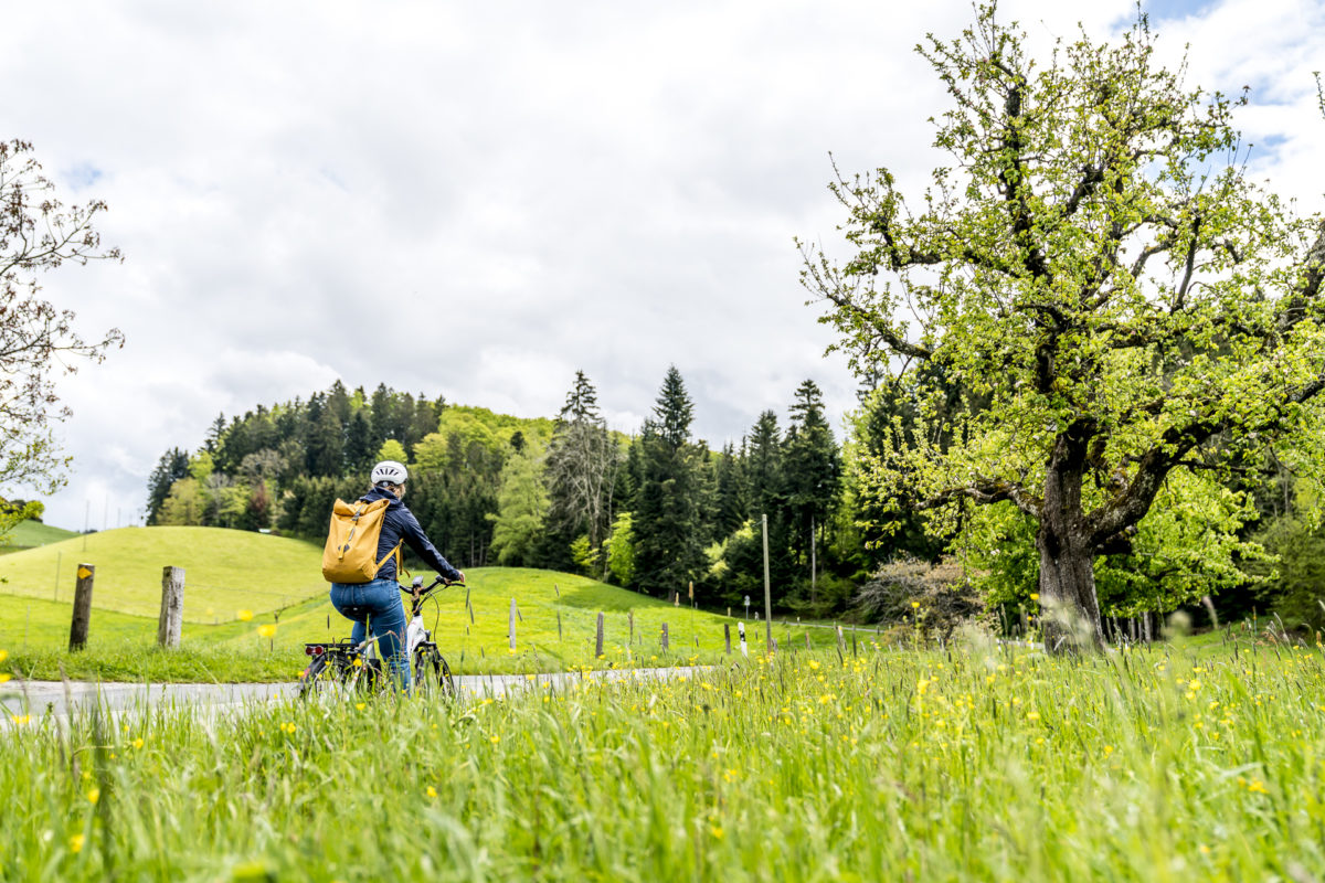 Emmentaler Käseroute