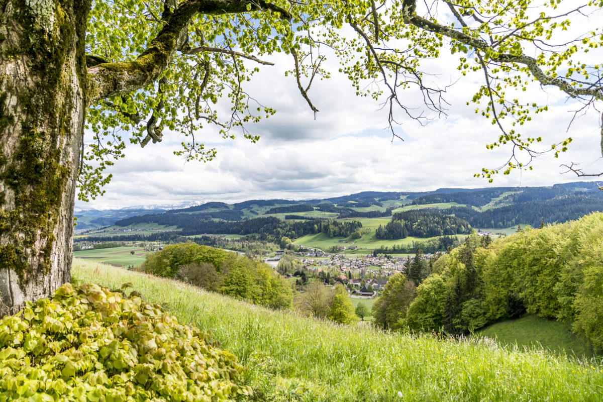 Jeremias Gotthelf Ausblick Emmental