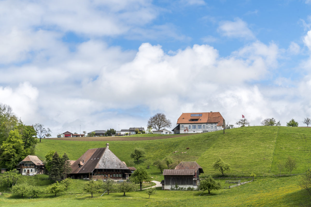 Aussicht Kaltacker Ramisberg