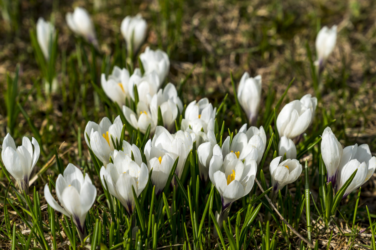 Korkusse Entlebuch