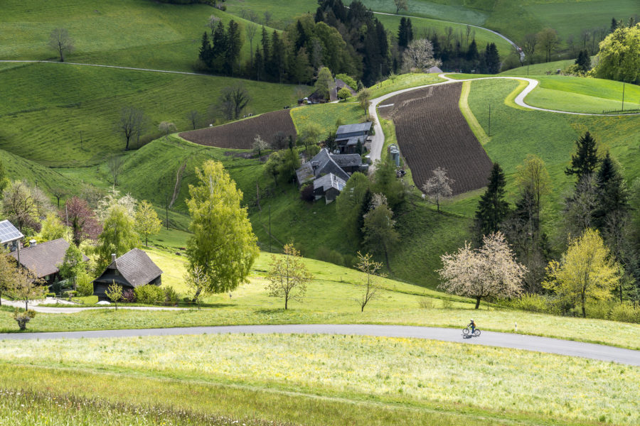 Landschaft Emmental