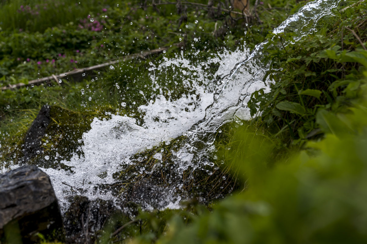 Moorlandschaft Entlebuch Wasser