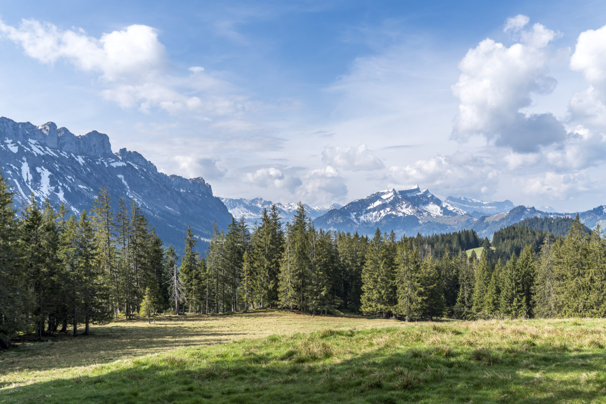 Moorlandschaft Entlebuch