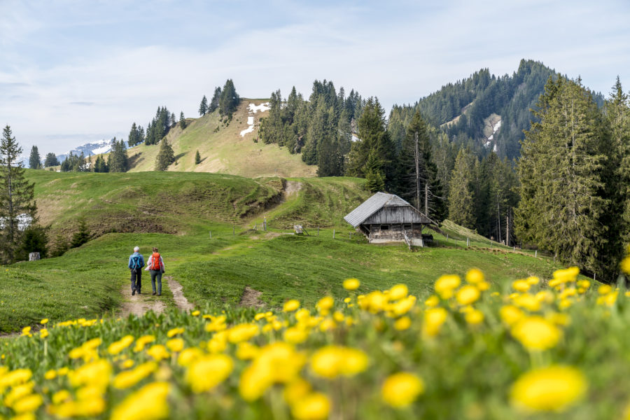 Moorlandschaftspfad Klein Entlen