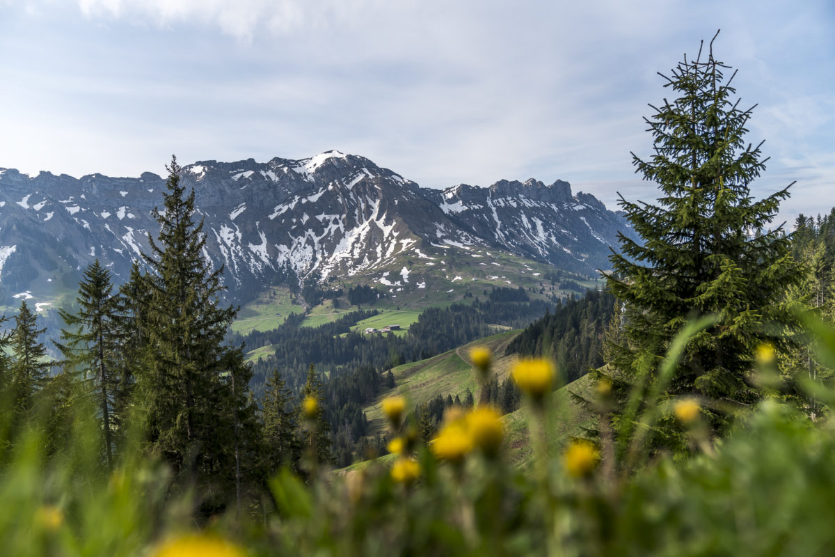 Schafmatt Entlebuch