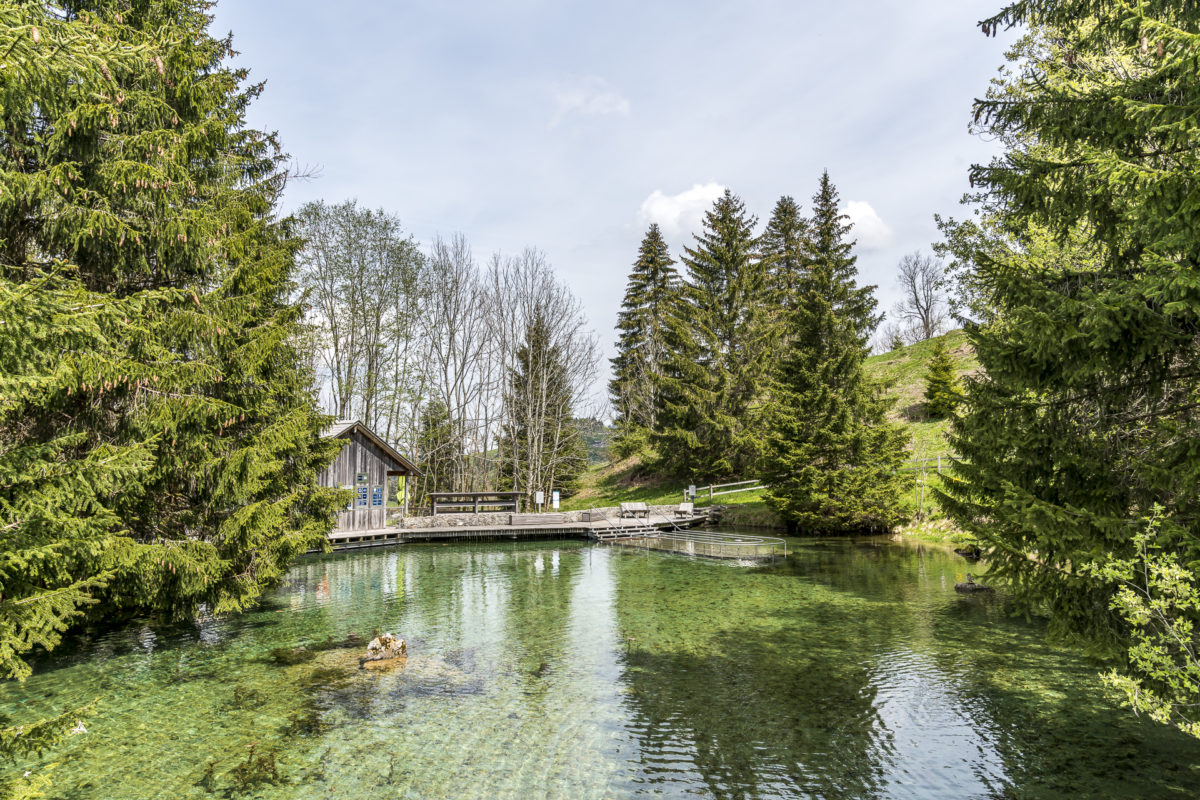 Schwandalp Kneippweiher Entlebuch