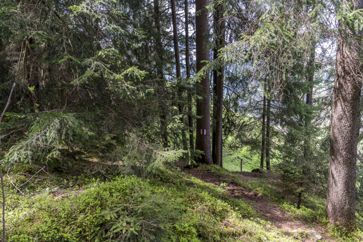 Wanderung Heiligkreuz Flühli