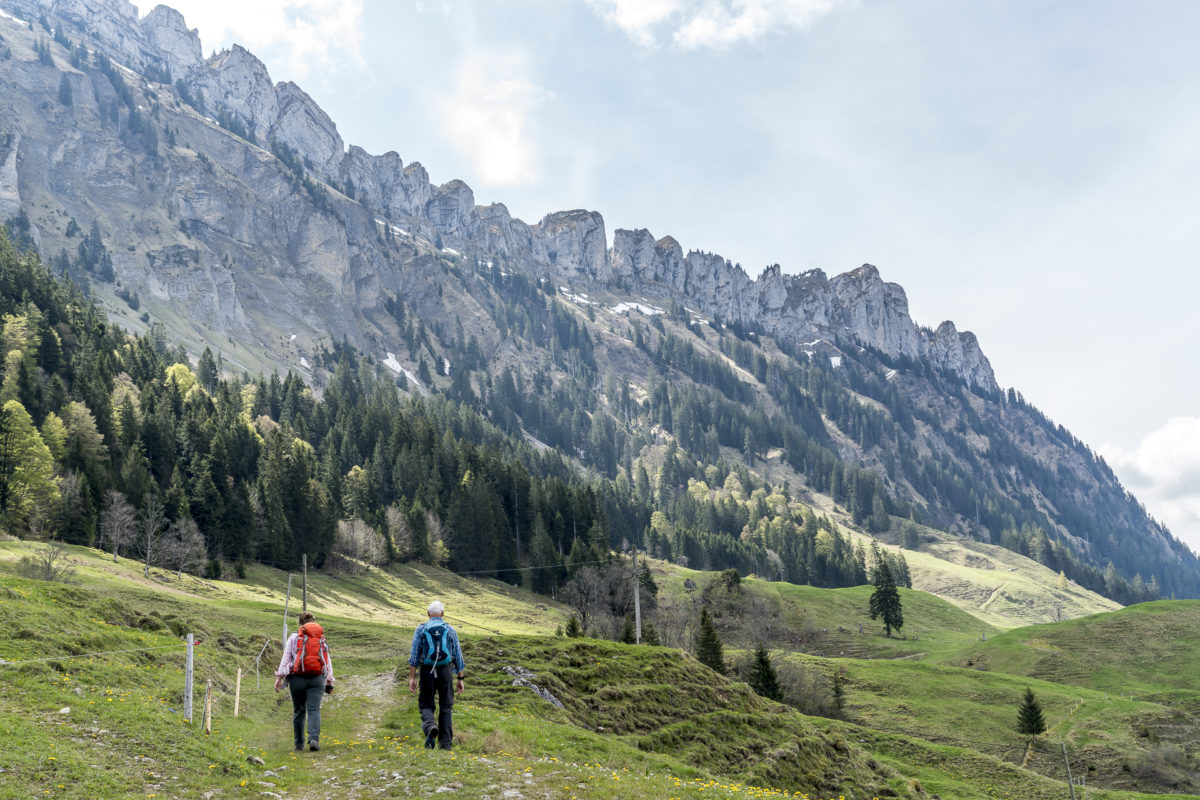 Wanderung Moorlandschaftspfad