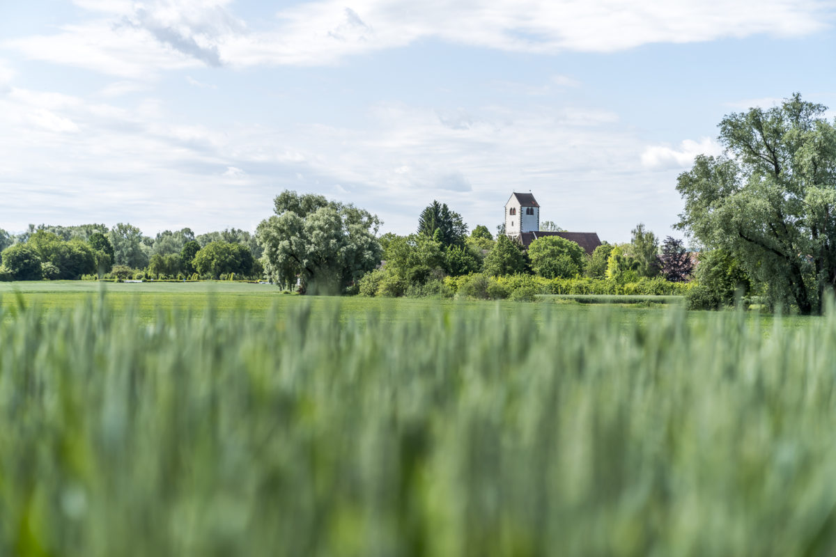 Bodensee Radweg Landschaft