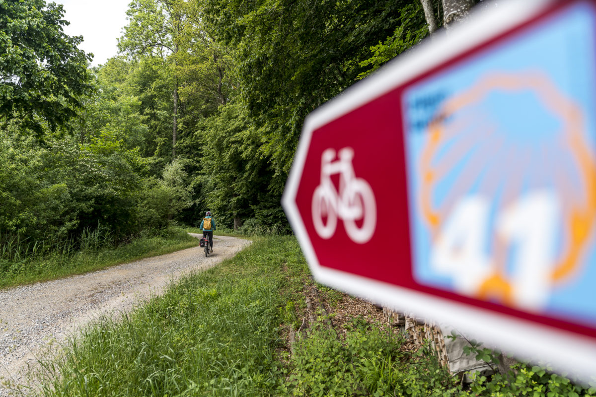 Bodensee-Radweg Velotour