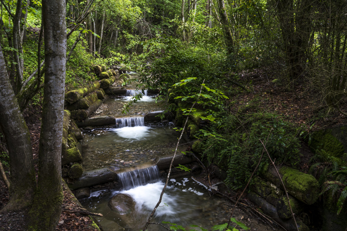 Cholerenschlucht Thunersee