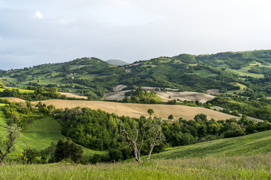 Marken Landschaft Italien