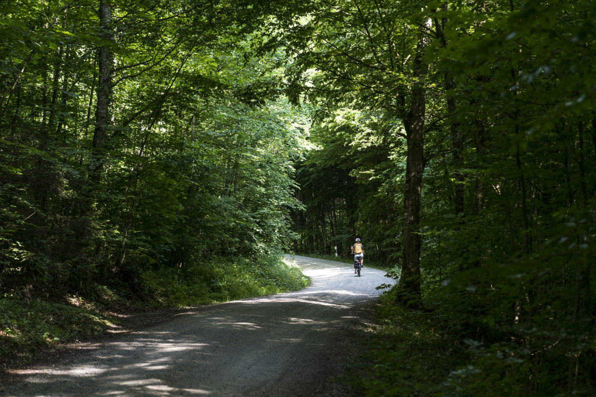 E-Biking von Wädli zum Bodensee