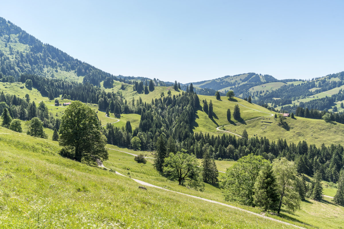 Alpwiesen Oberstaufen