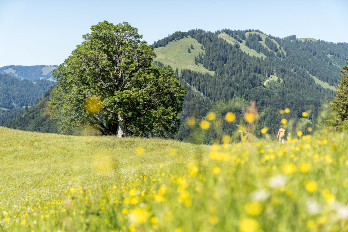 Atempausen Oberstaufen