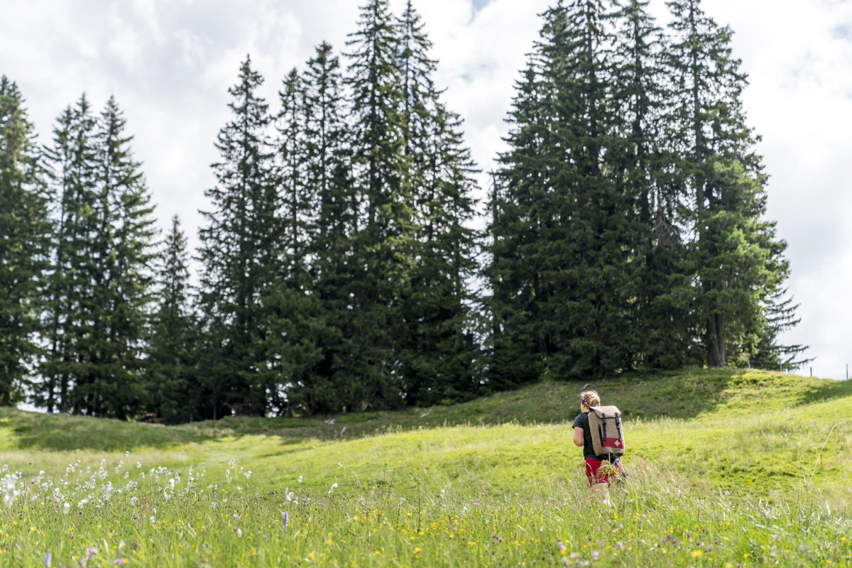 Aufstieg Chrinepass