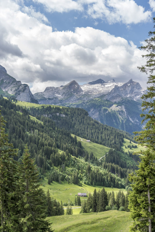 Gsteig Saaneland