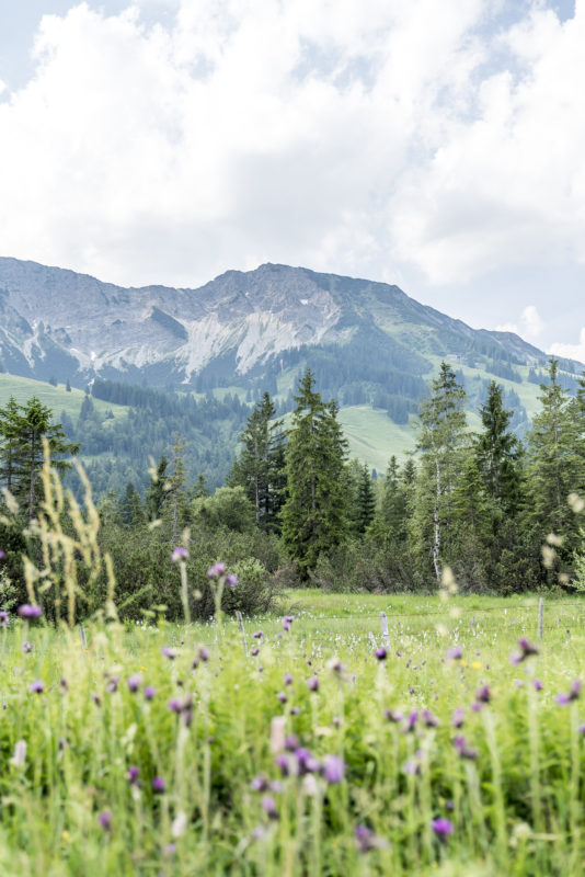 Iseler Oberjoch