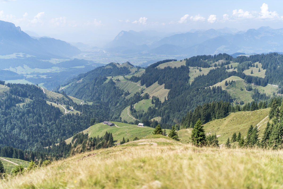 Kaiserwinkel Almwanderung