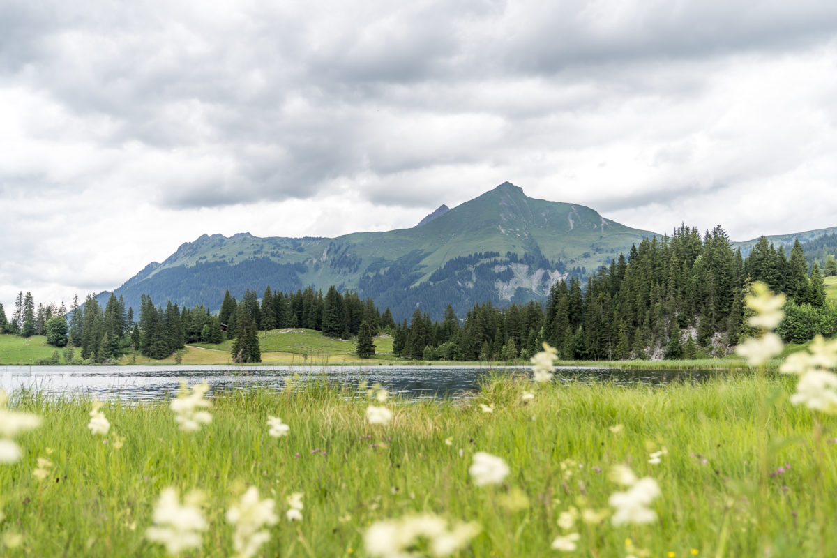 Lauenensee Lauenen